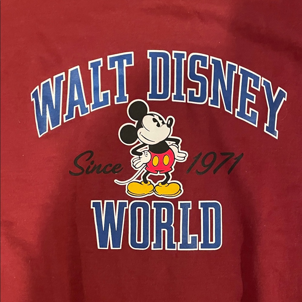 Disney Burgundy Crewneck Sweater with Mickey Mouse‎ - Picture 3 of 5